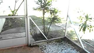 2015 10 Video Tour 2001 PINELLAS POINT DR. S
