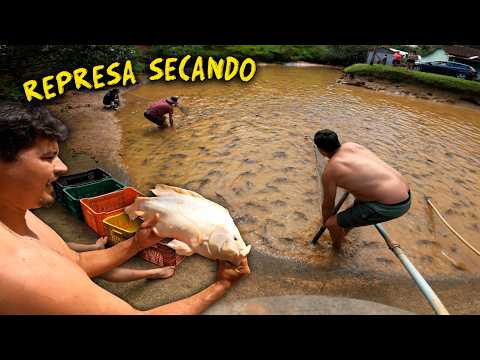 Thousands of fish being hastily removed...