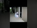 Alabama Valet Trash Service