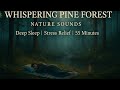 55 Mins of Whispering Pines 🌲 Soothing Forest Ambience for Deep Sleep &amp; Relaxation