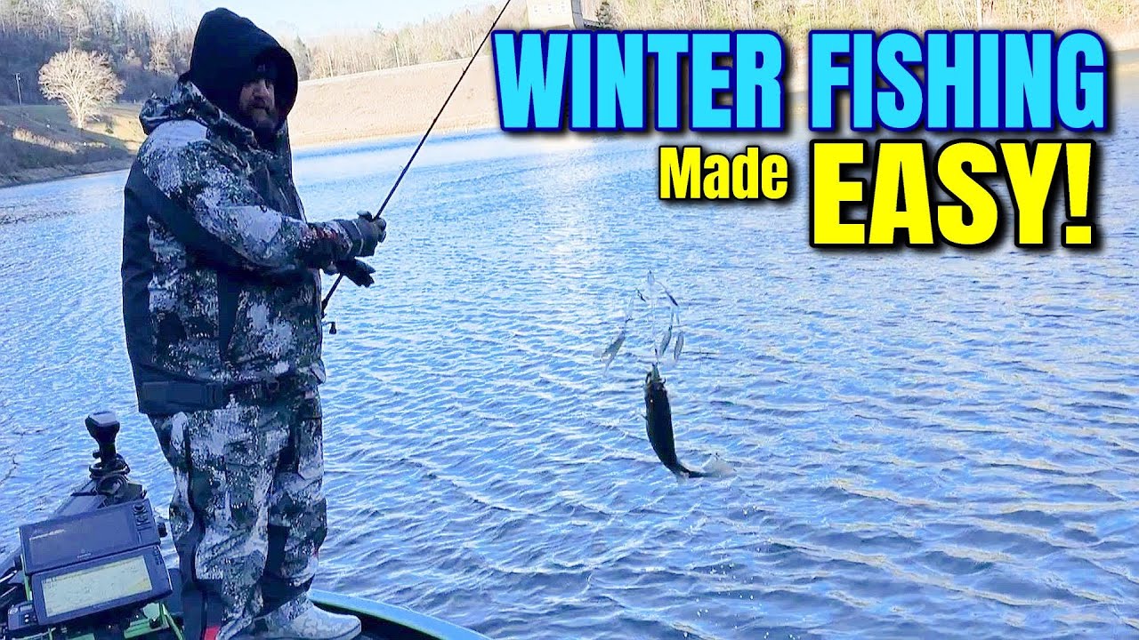 Winter Bass Fishing Made EASY with these Alabama Rig Tips