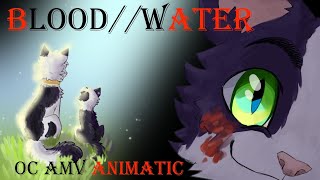 • Blood//Water • Warrior cats • OCs animatic •