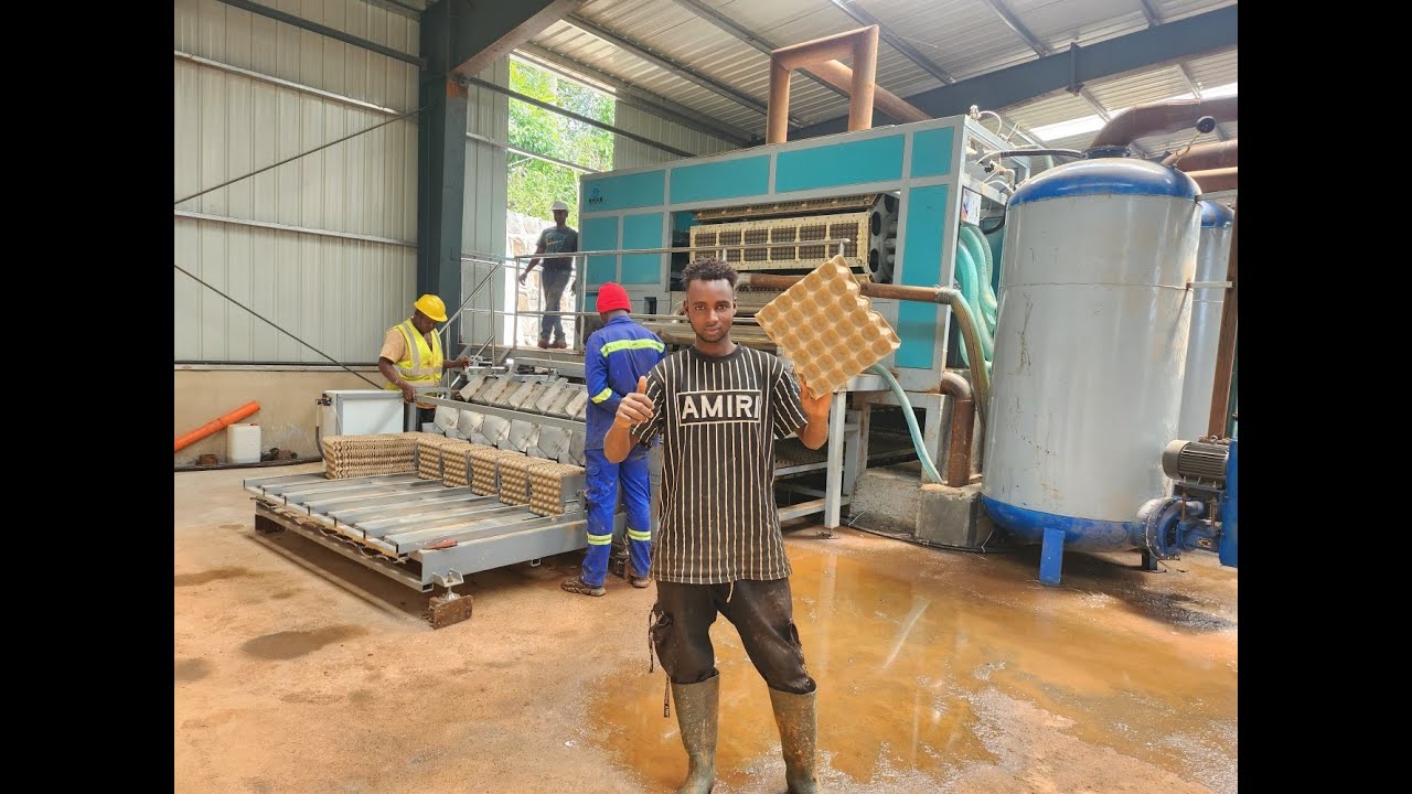 High speed rotary Egg Tray machine