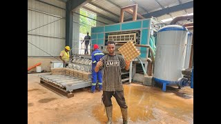 High speed rotary Egg Tray machine