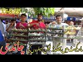 Birds Market Lalukhet Sunday Video Latest Update 17-8-25 |  Aaj Market Me Bechne Walon Ka  Faida Hua