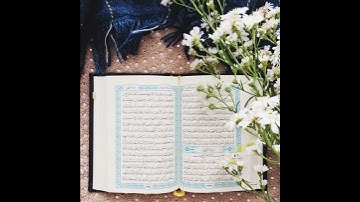 093 - Surah Ad-Duhaa (The Morning Hours)  سورة الضحى بصوت  ناصر القطامي