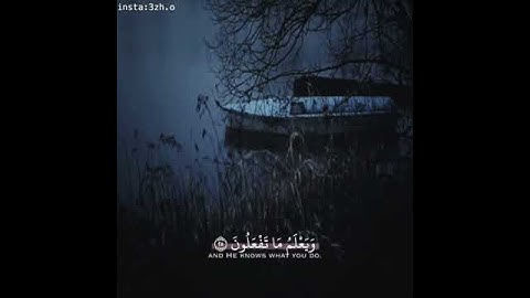 سورة الشورى الاية ٢٥ بصوت ايمن بابطاط