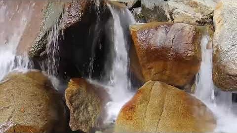 سورة النور بصوت الشيخ وديع اليمني   بدون إعلانات