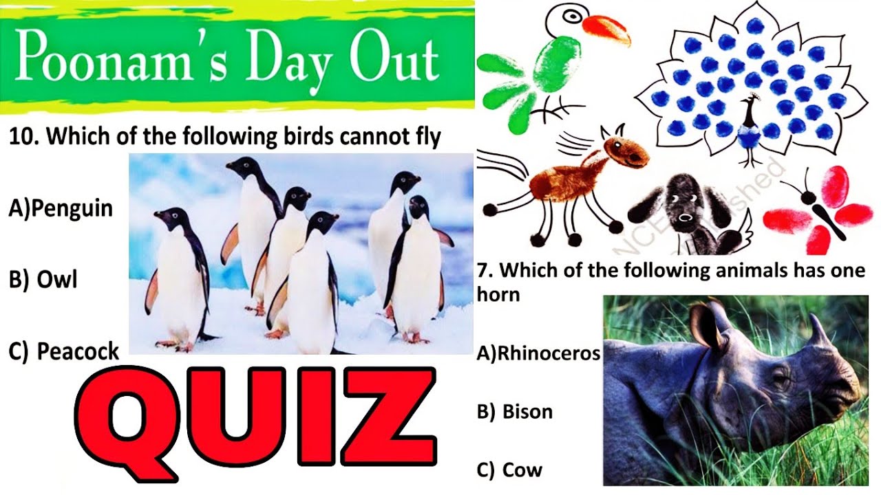 QUIZ (Test Yourself) / Poonam's Day Out / Class 3 / EVS / NCERT - YouTube