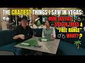 Video 4 with musicThe Craziest Things I Saw in Vegas: Mob Justice, Stolen Trees &amp; "Free Range" What?