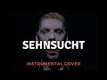 Sehnsucht Instrumental Cover (Live Version)