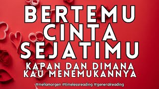 PT MENCARI CINTA SEJATI #generalreading #timelessreading #djiwaoracle #tarot #cinta