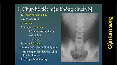 Vai trò các KỸ THUẬT HÌNH ẢNH trong chẩn đoán bệnh lý HỆ TIẾT NIỆU | PGS. LÊ TRỌNG KHOAN