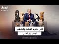 ترمب يثير جدلا واسعا بعد اتهامه مهاجرين بأكل لحوم القطط والكلاب 