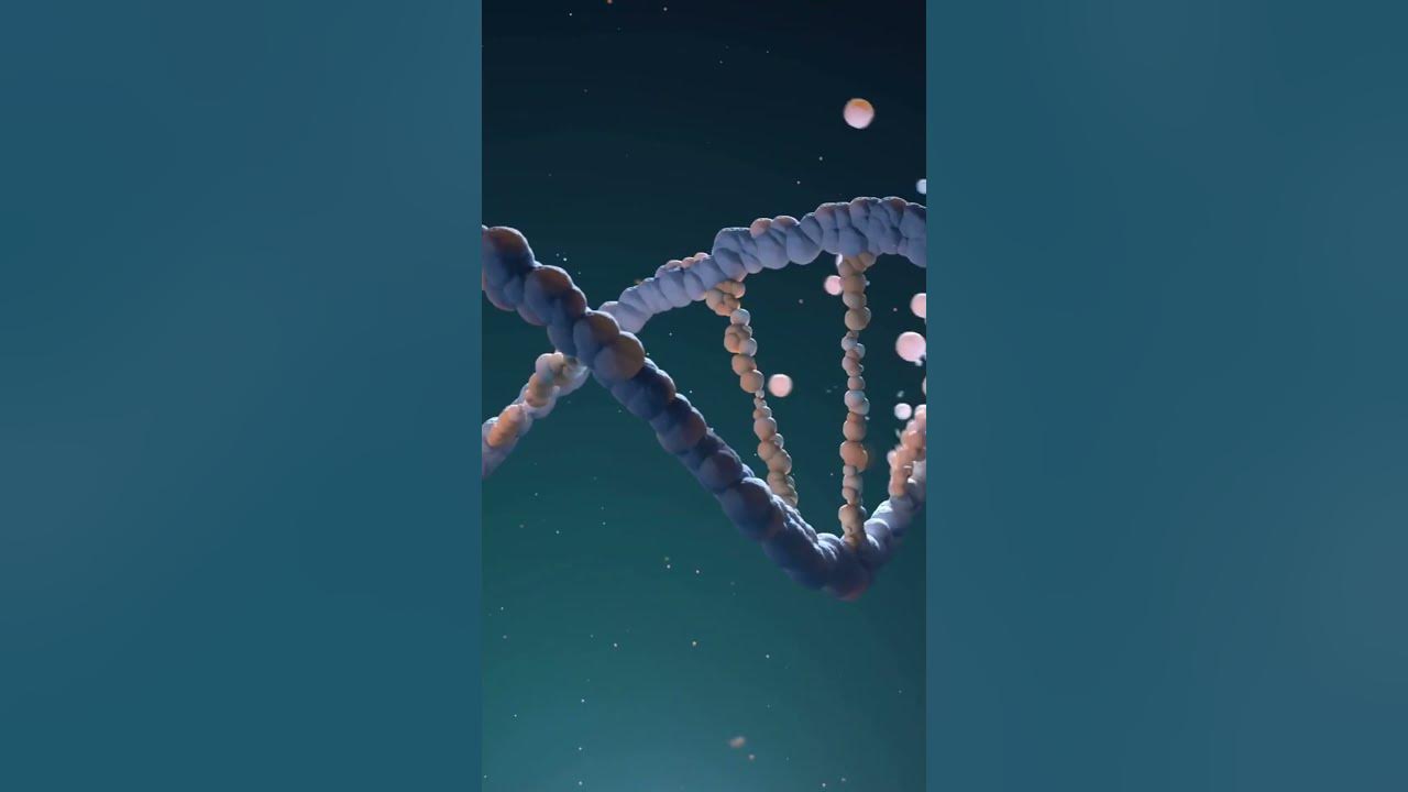 Elon Musk - Stop/Reverse Aging With Synthetic Biology #shorts - YouTube
