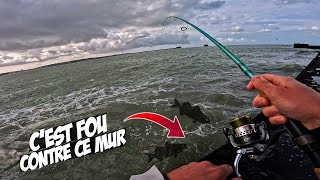 LES BARS SONT LE LONG DE CE MUR ET JE LES PÊCHE !!! 🎣