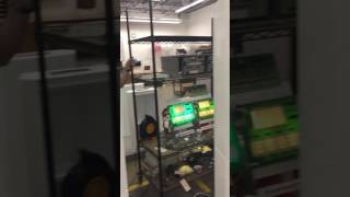 IMG 3310