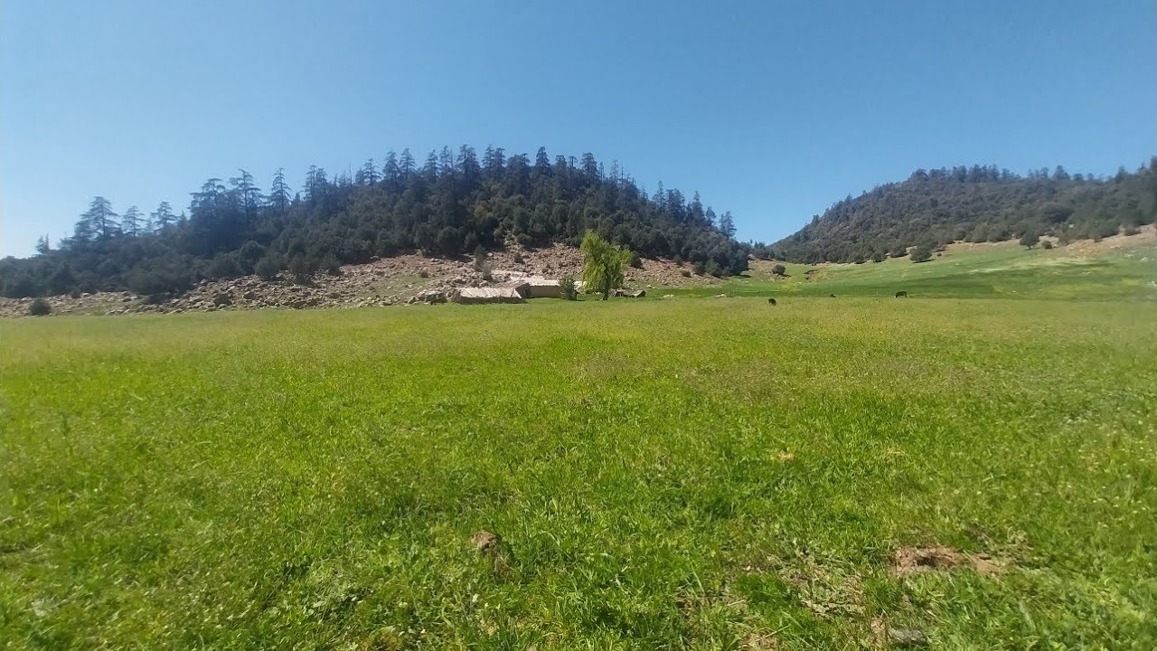 ارض فلاحية للبيع محفظة 19.5 هكتار + منزل وعين طبيعية مدينة خنيفرة تمن البيع 140 مليون