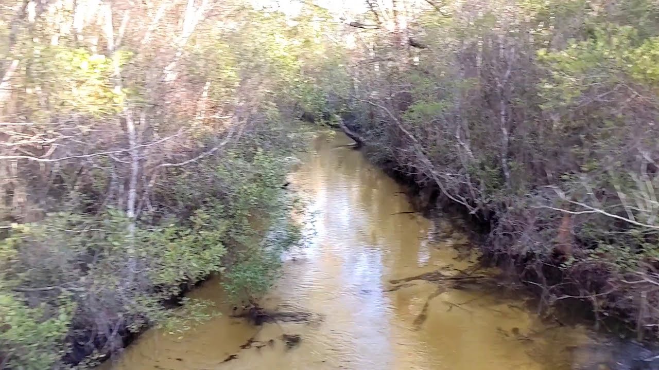 Florida Trail SOBO Day 4. Big Miles, Big Rewards.