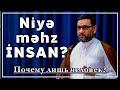 Hacı Şahin - Niyə məhz insan? (Почему лишь человек?)
