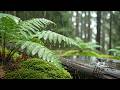 3Hours Deep Sleep Music with Heavy Rain Sounds 🌧️ Insomnia Relief