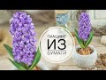 Paper HYACINTH / ГИАЦИНТ из бумаги / DIY TSVORIC