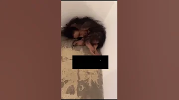 جني مريض 