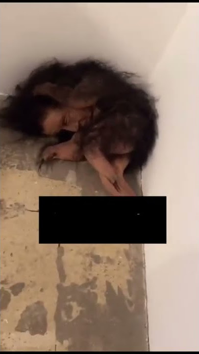 #جني #مريض