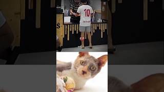 Funny Cat Video 😂😂😂#Shorts#Funkis #fails #memes