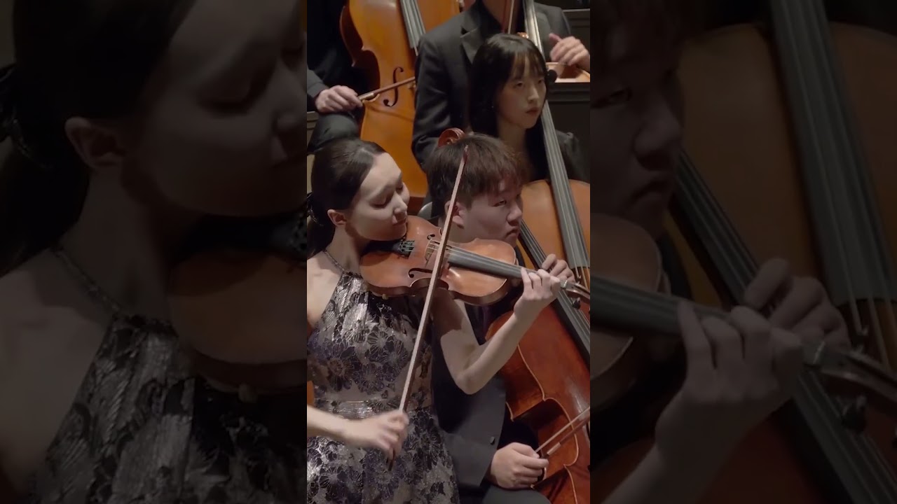 Tchaikovsky is Coming… 🎻 