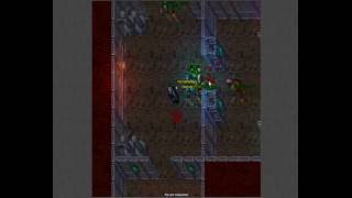 Tibia Worker Golem Hunt