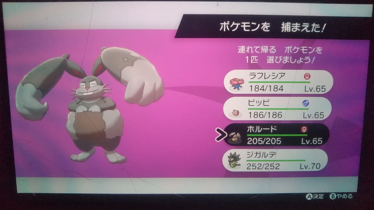 ポケモン剣盾 ジガルデ厳選したら まさかの途中で色ホルード出てしまうとは Youtube