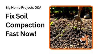 Stop Soil Compaction Now Simple Tips for Healthy Roots
