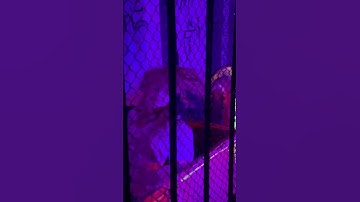 Nhà ma, động âm phủ - Lớp 6 A5 trường Tân Mai, Thăm quan học tập trải nghiệm tại Hồ Núi Cốc 05