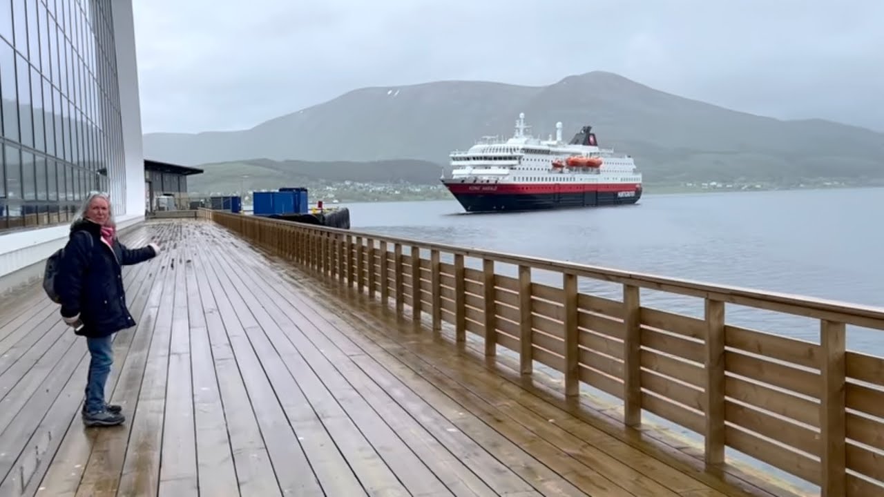 ⁣Drôle de visite au nord des Lofoten