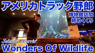 アメリカ長距離トラック運転手 博物館訪問 締めくくり Johnny Morris' Wonders Of Wildlife in Springfield ミズーリ州 【#600 2022-1-15】