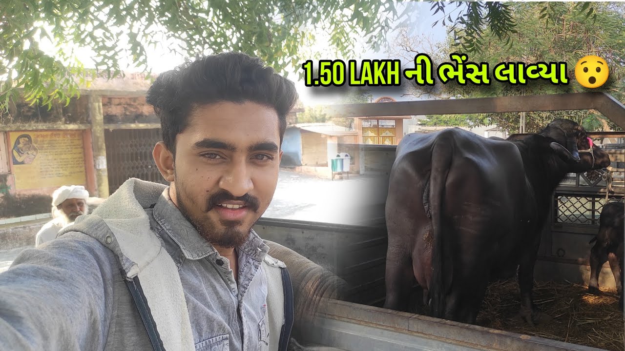 આજ નવી ભેંસ લાવ્યા || 1.50 Lakh ની ભેંસ લીધી 🤑