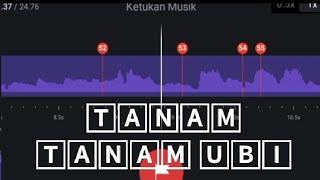 DJ tanam tanam ubi remix 30 detik🔥