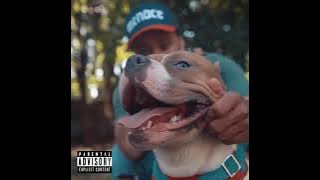 TopDog - Dustystaytrue