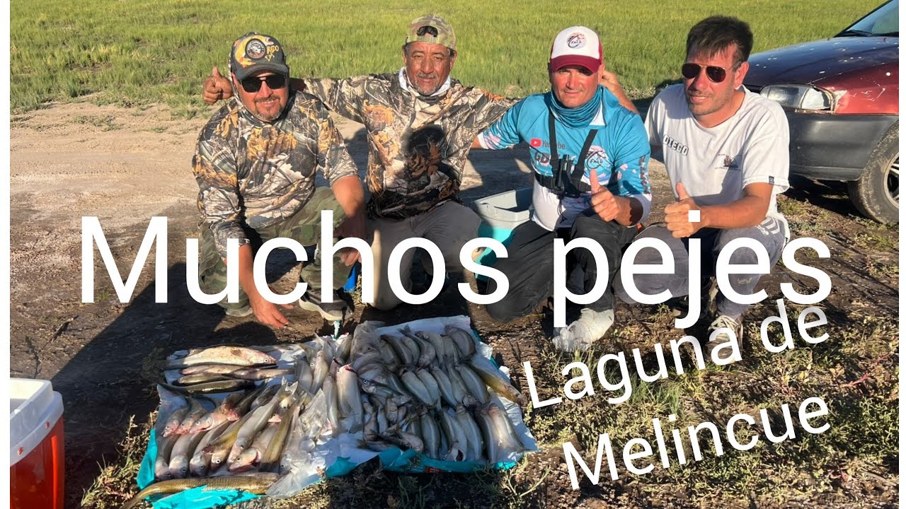 Camping la fábrica laguna de Malincue y muchos piques  