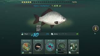 World of Fishers. Рыбная ферма #12. Медали. Новичок #1