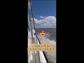 Coleta de amostra na importação com navio ao largo 🎯✅