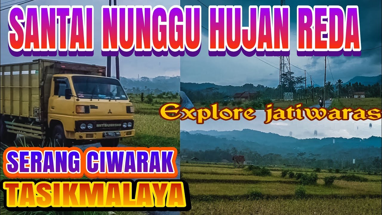 suasana didesa dikelilingi sawah nan luas kampung serang desa ciwarak