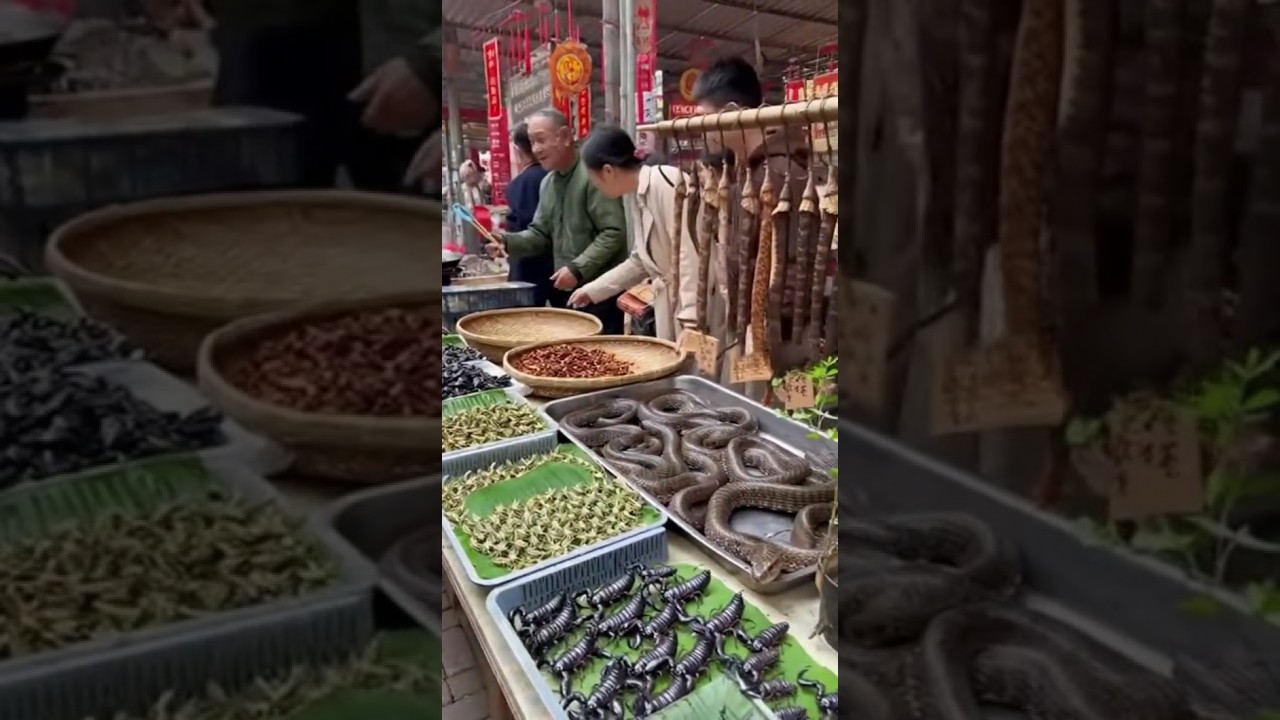 a shocking look inside a chinese insect shop where real bugs. 