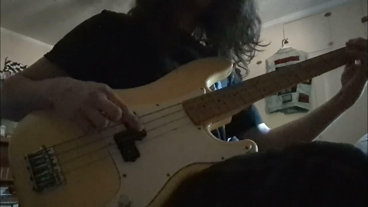 Coconuts Silver Lights (Metal Muff only) YouTube