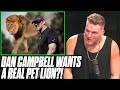 Pat McAfee Reacts To Dan Campbell Wanting A REAL PET LION!