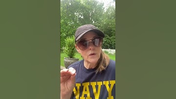 What Happens on a Discovery Call? Here’s What to Expect.