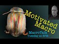 Motivated Macro - Macro Talk #58 - from Allan Walls Photography, August 29, 2023