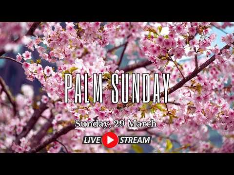 Palm Sunday, 29 March