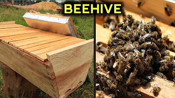 Making an Easy and Quick BEE HIVE.